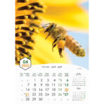 "PČELE" 13 list., dim: 30,5x50 cm, PVC vrećica, P/50, color kalendar
