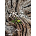 "MASLINE" 13 list., dim: 30,5x50 cm, PVC vrećica, P/50, color kalendar - Slika 2