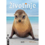 "ŽIVOTINJE" 13list., dim: 24x53,5 cm, PVC vrećica, P/50, color kalendar - Image 2