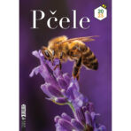 "PČELE" 13 list., dim: 30,5x50 cm, PVC vrećica, P/50, color kalendar - Image 2