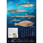 "S RIBARNICE" 13 list., dim: 33x55 cm, PVC vrećica, P/40, color kalendar - Slika 11