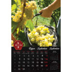 "VINO" 13 list., dim: 33x55 cm, PVC vrećica, P/40, color kalendar - Slika 11