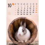 "ŽIVOTINJE" 13list., dim: 24x53,5 cm, PVC vrećica, P/50, color kalendar - Image 12