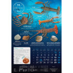 "S RIBARNICE" 13 list., dim: 33x55 cm, PVC vrećica, P/40, color kalendar - Slika 13