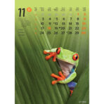 "ŽIVOTINJE" 13list., dim: 24x53,5 cm, PVC vrećica, P/50, color kalendar - Image 13