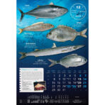 "S RIBARNICE" 13 list., dim: 33x55 cm, PVC vrećica, P/40, color kalendar - Slika 14