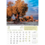 "MASLINE" 13 list., dim: 30,5x50 cm, PVC vrećica, P/50, color kalendar - Slika 14