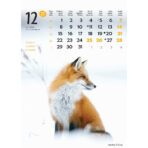 "ŽIVOTINJE" 13list., dim: 24x53,5 cm, PVC vrećica, P/50, color kalendar - Image 14