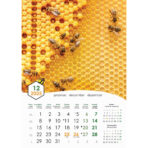 "PČELE" 13 list., dim: 30,5x50 cm, PVC vrećica, P/50, color kalendar - Image 14