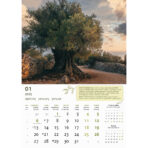 "MASLINE" 13 list., dim: 30,5x50 cm, PVC vrećica, P/50, color kalendar - Slika 3