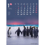 "ŽIVOTINJE" 13list., dim: 24x53,5 cm, PVC vrećica, P/50, color kalendar - Image 3