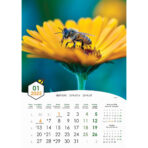 "PČELE" 13 list., dim: 30,5x50 cm, PVC vrećica, P/50, color kalendar - Image 3