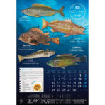"S RIBARNICE" 13 list., dim: 33x55 cm, PVC vrećica, P/40, color kalendar - Slika 4