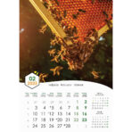 "PČELE" 13 list., dim: 30,5x50 cm, PVC vrećica, P/50, color kalendar - Image 4