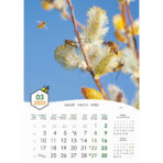 "PČELE" 13 list., dim: 30,5x50 cm, PVC vrećica, P/50, color kalendar - Image 5