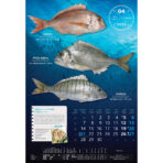"S RIBARNICE" 13 list., dim: 33x55 cm, PVC vrećica, P/40, color kalendar - Slika 6