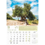 "MASLINE" 13 list., dim: 30,5x50 cm, PVC vrećica, P/50, color kalendar - Slika 6