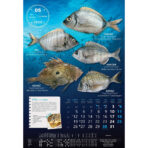 "S RIBARNICE" 13 list., dim: 33x55 cm, PVC vrećica, P/40, color kalendar - Slika 7