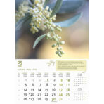 "MASLINE" 13 list., dim: 30,5x50 cm, PVC vrećica, P/50, color kalendar - Slika 7