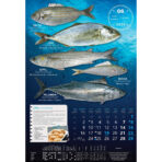 "S RIBARNICE" 13 list., dim: 33x55 cm, PVC vrećica, P/40, color kalendar - Slika 8