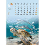 "ŽIVOTINJE" 13list., dim: 24x53,5 cm, PVC vrećica, P/50, color kalendar - Image 8