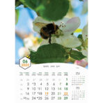 "PČELE" 13 list., dim: 30,5x50 cm, PVC vrećica, P/50, color kalendar - Image 8
