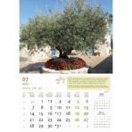 "MASLINE" 13 list., dim: 30,5x50 cm, PVC vrećica, P/50, color kalendar - Slika 9