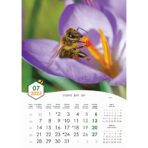 "PČELE" 13 list., dim: 30,5x50 cm, PVC vrećica, P/50, color kalendar - Image 9