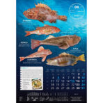 "S RIBARNICE" 13 list., dim: 33x55 cm, PVC vrećica, P/40, color kalendar - Slika 10