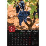 "VINO" 13 list., dim: 33x55 cm, PVC vrećica, P/40, color kalendar - Slika 10