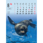 "ŽIVOTINJE" 13list., dim: 24x53,5 cm, PVC vrećica, P/50, color kalendar - Image 10