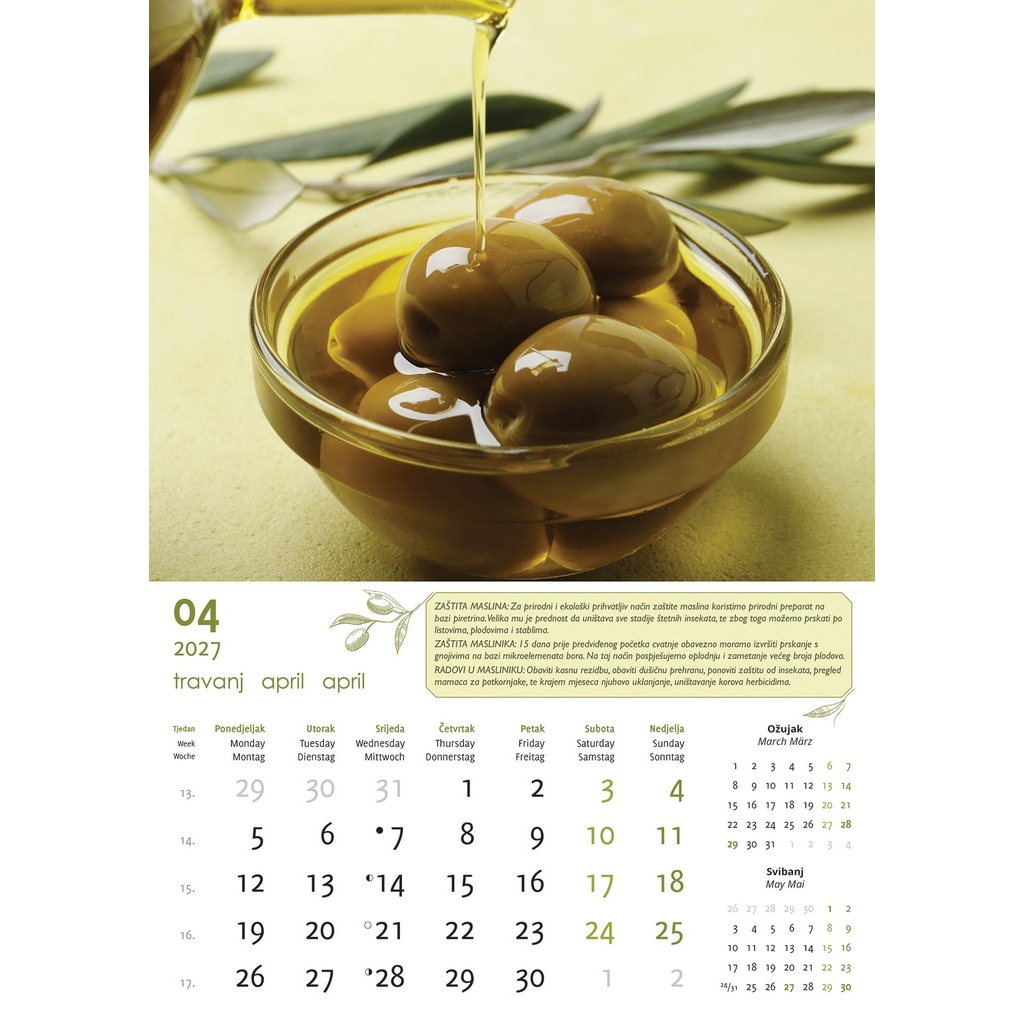 "MASLINE" 13 list., dim: 30,5x50 cm, PVC vrećica, P/50, color kalendar