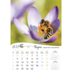 "PČELE" 13 list., dim: 30,5x50 cm, PVC vrećica, P/50, color kalendar - Slika 2