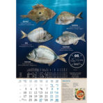 "S RIBARNICE" 13 list., dim: 33x55 cm, PVC vrećica, P/40, color kalendar - Image 11