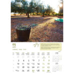 "MASLINE" 13 list., dim: 30,5x50 cm, PVC vrećica, P/50, color kalendar - Slika 11
