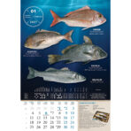 "S RIBARNICE" 13 list., dim: 33x55 cm, PVC vrećica, P/40, color kalendar - Image 12