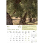 "MASLINE" 13 list., dim: 30,5x50 cm, PVC vrećica, P/50, color kalendar - Slika 12