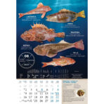 "S RIBARNICE" 13 list., dim: 33x55 cm, PVC vrećica, P/40, color kalendar - Image 13