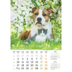 "PSI i MAČKE" 13 list., dim: 30,5x50 cm, PVC vrećica, P/50, color kalendar - Slika 14