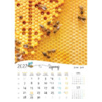 "PČELE" 13 list., dim: 30,5x50 cm, PVC vrećica, P/50, color kalendar - Slika 14