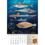 "S RIBARNICE" 13 list., dim: 33x55 cm, PVC vrećica, P/40, color kalendar - Image 3