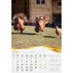 "BAJKOVITO ZAGORJE I MEĐIMURJE" 13 list., dim: 33x55 cm, PVC vrećica, P/40, color kalendar - Slika 3