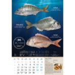 "S RIBARNICE" 13 list., dim: 33x55 cm, PVC vrećica, P/40, color kalendar - Image 4