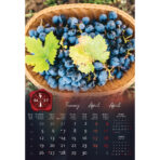 "VINO" 13 list., dim: 33x55 cm, PVC vrećica, P/40, color kalendar - Slika 4