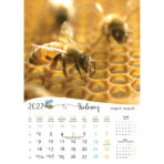 "PČELE" 13 list., dim: 30,5x50 cm, PVC vrećica, P/50, color kalendar - Slika 4