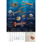 "S RIBARNICE" 13 list., dim: 33x55 cm, PVC vrećica, P/40, color kalendar - Image 5