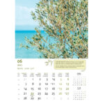 "MASLINE" 13 list., dim: 30,5x50 cm, PVC vrećica, P/50, color kalendar - Slika 5