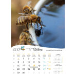 "PČELE" 13 list., dim: 30,5x50 cm, PVC vrećica, P/50, color kalendar - Slika 5