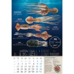 "S RIBARNICE" 13 list., dim: 33x55 cm, PVC vrećica, P/40, color kalendar - Image 6