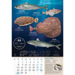 "S RIBARNICE" 13 list., dim: 33x55 cm, PVC vrećica, P/40, color kalendar - Image 7